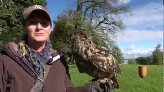Greifvoegel Am alten Schloss Herrenchiemsee carly4711 Urlaubsclip auf Youtube 16.10.2012