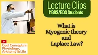 What is Myogenic theory and Laplace Law? #circulation #physiology