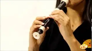 Flauta Doce: Escalas Musicais