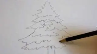 How To Draw A Tree - Draw An Evergreen Tree