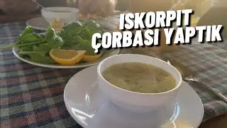 İSKORPİT ÇORBASI YAPTIK !!! | REİS'İ İSKORPİT ÇARPTI !!!
