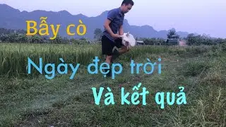Bẫy cò tháng 8-2022 tập 15