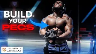 How To Build An Aesthetic Chest FAST (Step-By-Step Guide)