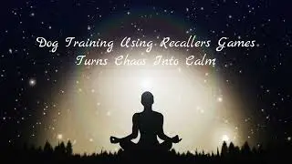Dog Training Using Recallers Games Turns Chaos Into Calm