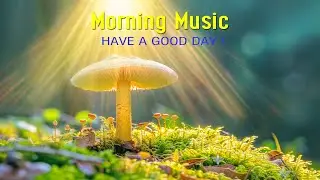 POWERFUL Morning Music For Pure Clean Positive Energy - Peaceful Morning Meditation Music To Wake Up