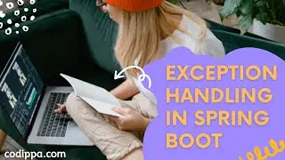 Exception handling in spring boot | Global exception handling in spring boot rest api