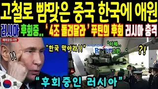 한국 초강대국 반열 진입! 러시아 버리려던 고철.. 한국이 불곰사업으로 일으키자 푸틴 충격 [해외감동사연]