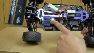 1/10 Electric Off-Road R/C Buggy Stock Model by Exceed RC