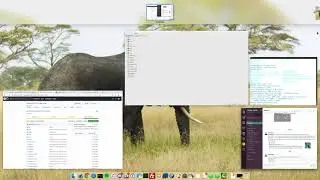 Building a CRUD app in Ember with Ember Data - Part 2