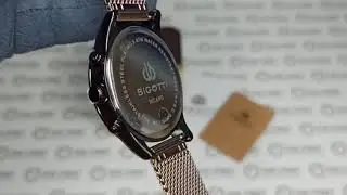 Мужские классические наручные часы Bigotti Milano BG.1.10262-5