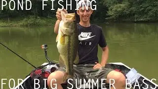 Summertime Pond Fishing For BIG Bass- 45LBS!!!
