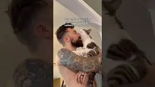 Cats Who Steal Your Man, Flirt, and Wreck the Room