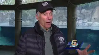 Cincinnati Zoo Director Thane Maynard speaks about loss of hippo Henry