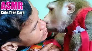 Dr. LYLY Beautiful Rope Well Relaxing Groomed Uncle Very Unbelievable
