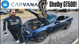 INSANE CARVANA DEAL! Taking DELIVERY STOCK Shelby Gt500! *1 Owner, Low Miles!