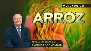 Pre&ccedil;os do arroz v&atilde;o subir? Reposi&ccedil;&otilde;es devem acontecer ao longo de agosto.