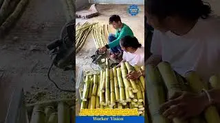 ⚙️Power Saw Meets Sugarcane&mdash;Sweet Precision in Action!