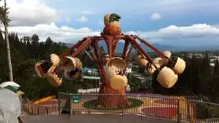 Dactilus