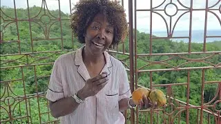 My birthday at Colaz Smith tv Pink House | today I turned 64