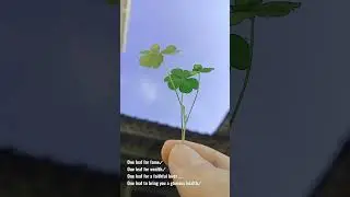 Pernahkah kamu menemukan daun keempat dari tanaman ini ?