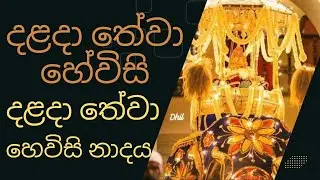 දළදා මාලිගාවේ සවස් තේවා හේවිසි – හදවත පිරිසිදු කරන නාදය 🎵 SIRI DALADA THEWA HEVISI NADAYA