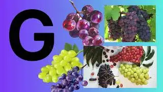Letter G Grow with the Letter G!  Phonics Music Children | #LetterG #PhonicsGrowth #EarlyEducation