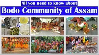 History of Bodo Community | Untold facts | In-depth analysis #bodocommunity #assam #bodoland #btr