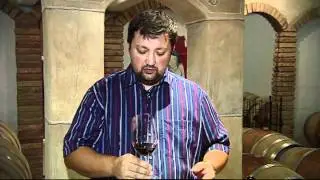 Der ausgewogene Hohen Gieser des Weingutes Piribauer (Burgenland)