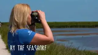 The best birdwatching in the UK, Norfolk, UK
