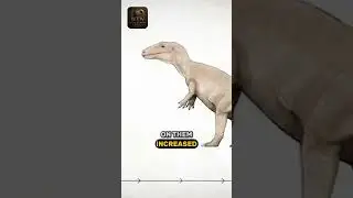 The Last 24 Hours of Dinosaurs | What Really Happened to Dinosaurs?