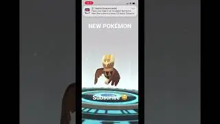 HAT #HOOTHOOT TO #NOCTOWL EVOLVE #POK&Eacute;MON GO