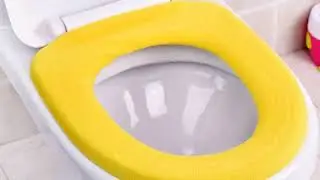Warm and comfortable toilet seat cushion