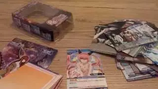 Steins;Gate Trial Deck Opening (Prism Connect)