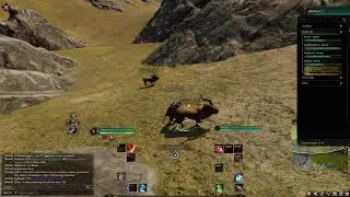Ashes of Creation - Alpha II - Rogue - Cleric / Fighter / Tank Level 10