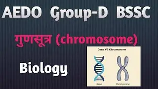 AEDO|Group-D|BSSC|गुणसूत्र|क्रोमोजोम|Biology|shobha Gs classes....