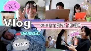 ★Vlog★おうちでまったりすごす日曜日！みんな自由だ〜♪