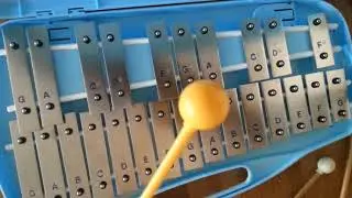 Could this be Your Next Xylophone? 25 Keys!