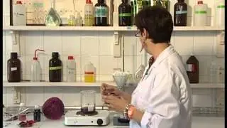 Química Mágica I