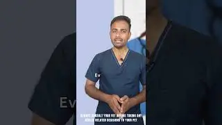 Cat Vaccination Schedule | TheDrVet