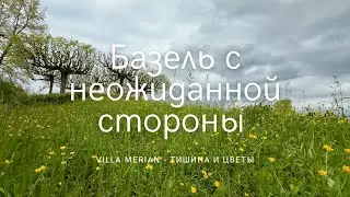 Сады виллы Мериан &mdash; скрытая жемчужина Базеля.