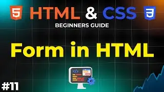 Exploring Form in HTML | Input Element in HTML |  HTML and CSS Beginners Guide | IMS Coding