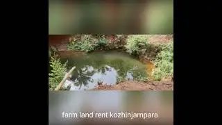 6 acres farm land rent kozhinjampara, palakkad dt, suitable for cattle farming ,damwater facility,