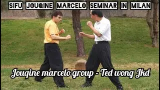 Jouqine marcelo  - seminar in milan