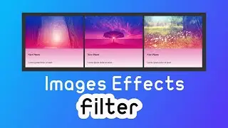 Images Effects with HTML and CSS using Filter | #2