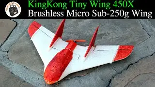 Brushless Micro Sub-250g FPV Wing - KINGKONG/LDARC TINY WING 450X 431mm Wingspan With Flight Control