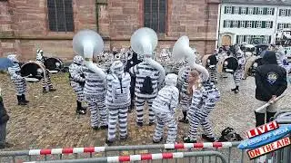Basler Fasnacht - Mittwuch 12.03.2025 Teil2