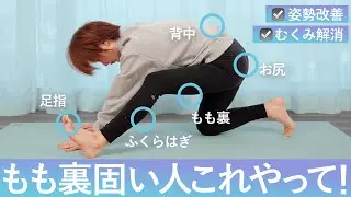 股関節が硬い人はこれやって！できなかった前屈ができるようになる魔法のストレッチ