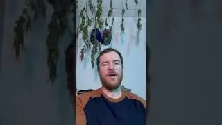 Turkey day ASMR? Happy Thanksgiving