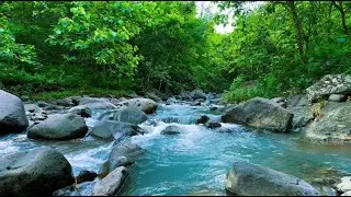 Relaxing Forest River Flow for Deep Sleep, Meditation, Stress Relief and Nighttime Inner Calm