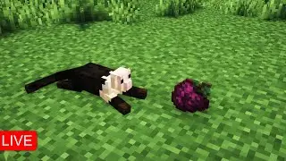 i play Minecraft